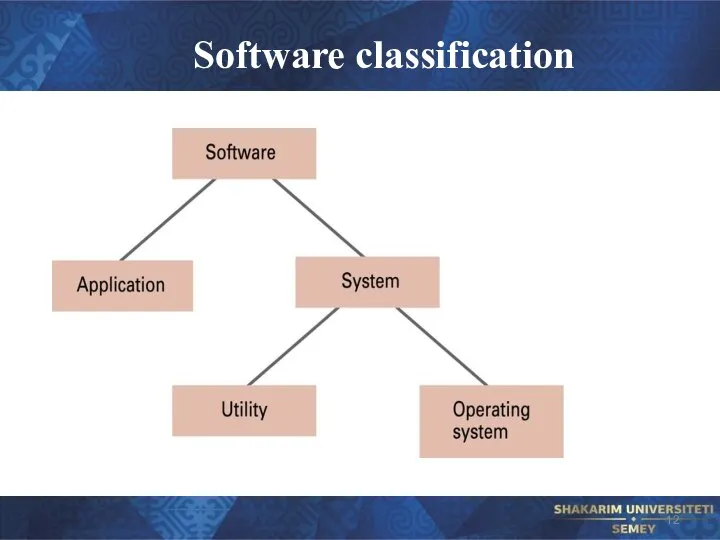 Software classification