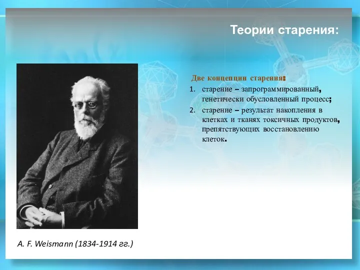 Теории старения: Две концепции старения: старение – запрограммированный, генетически обусловленный процесс;