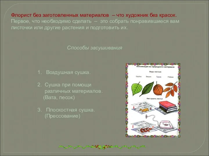 Способы засушивания 1. Воздушная сушка. 2. Сушка при помощи различных материалов.