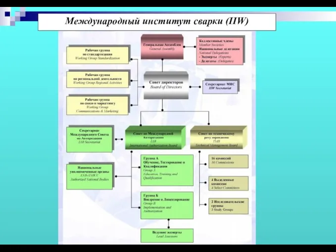 Международный институт сварки (IIW)