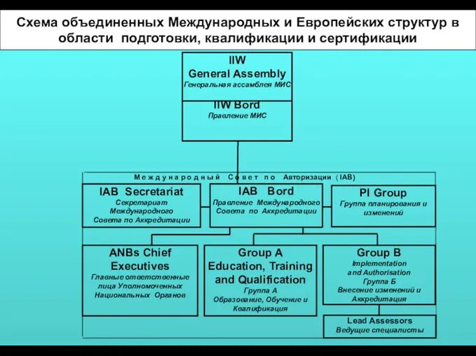 IIW General Assembly Генеральная ассамблея МИС IIW Bord Правление МИС PI