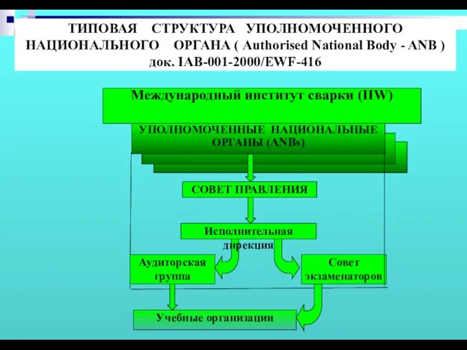 Учебные организации ТИПОВАЯ СТРУКТУРА УПОЛНОМОЧЕННОГО НАЦИОНАЛЬНОГО ОРГАНА ( Authorised National Body