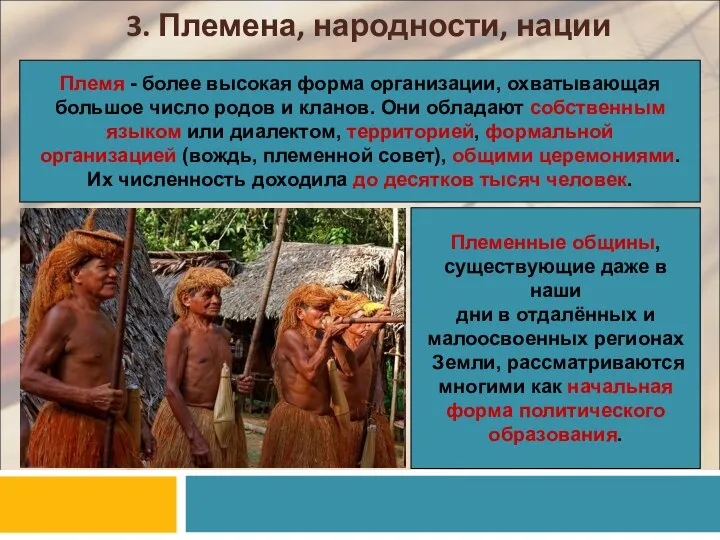 3. Племена, народности, нации Племя - более высокая форма организации, охватывающая