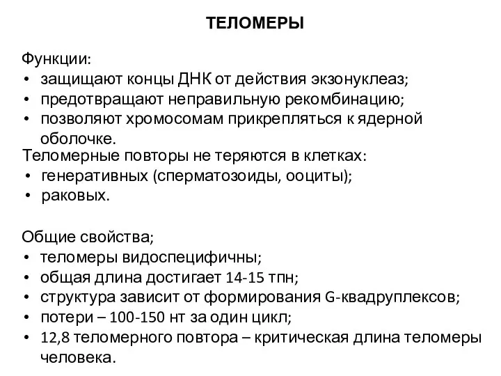 Функции: защищают концы ДНК от действия экзонуклеаз; предотвращают неправильную рекомбинацию; позволяют