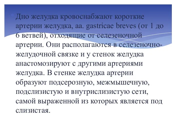 Дно желудка кровоснабжают короткие артерии желудка, аа. gastricae breves (от 1