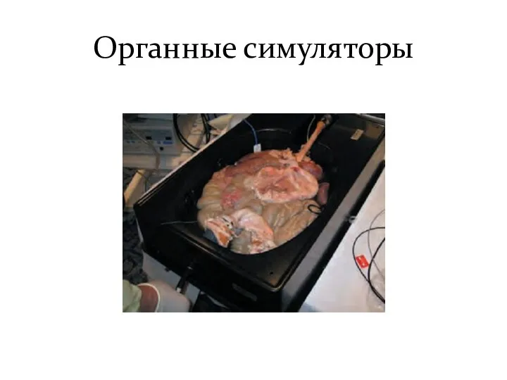 Органные симуляторы