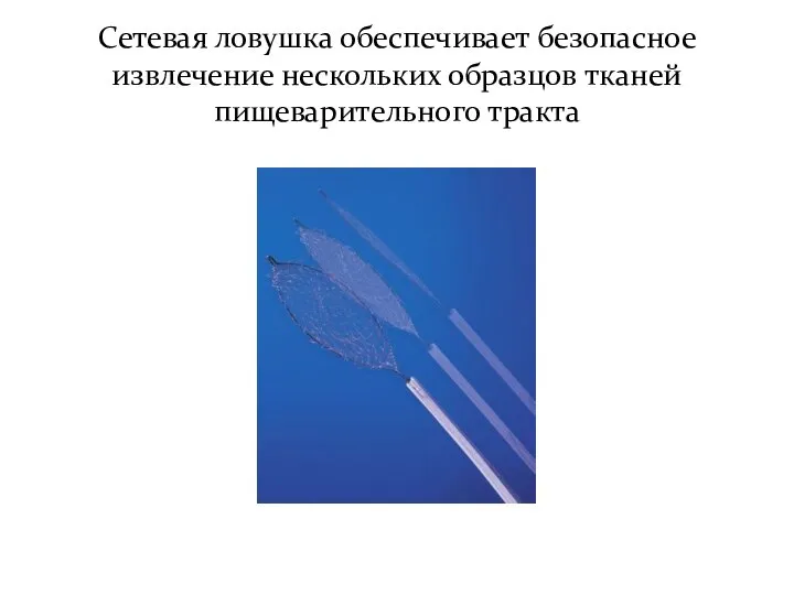 Сетевая ловушка обеспечивает безопасное извлечение нескольких образцов тканей пищеварительного тракта