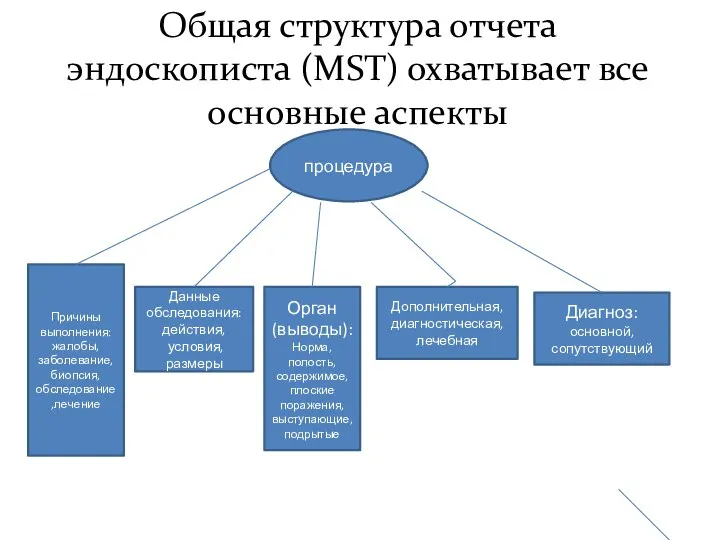 Общая структура отчета эндоскописта (MST) охватывает все основные аспекты процедура Причины