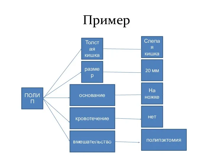 Пример ПОЛИП Толстая кишка размер основание кровотечение вмешательство Слепая кишка нет полипэктомия 20 мм На ножке