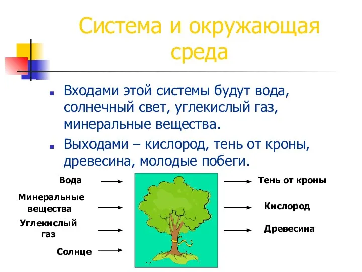 Система и окружающая среда Входами этой системы будут вода, солнечный свет,