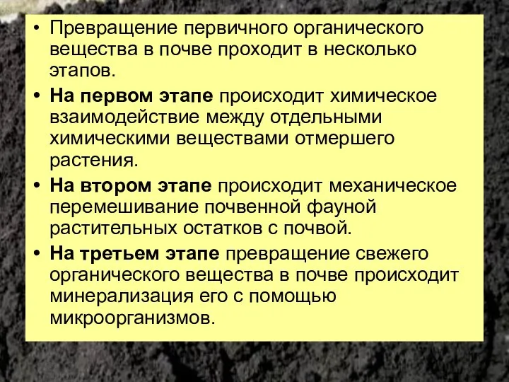 Превращение первичного органического вещества в почве проходит в несколько этапов. На