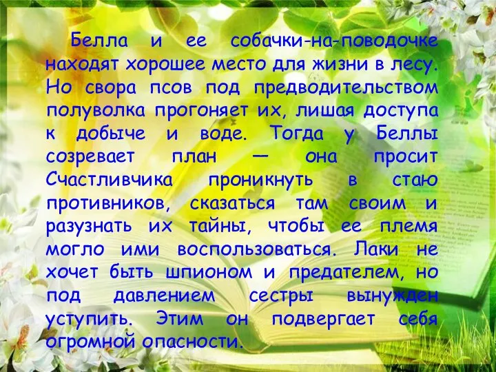 Белла и ее собачки-на-поводочке находят хорошее место для жизни в лесу.