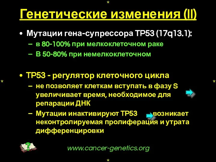 Генетические изменения (II) Мутации гена-супрессора TP53 (17q13.1): в 80-100% при мелкоклеточном