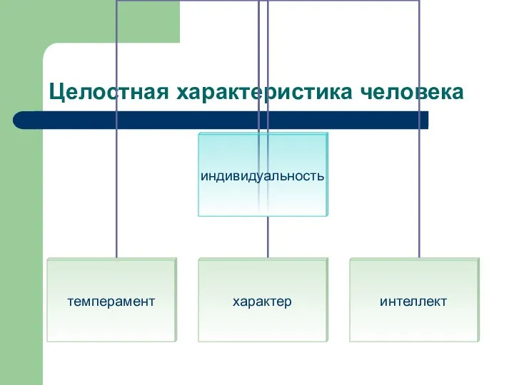 Целостная характеристика человека