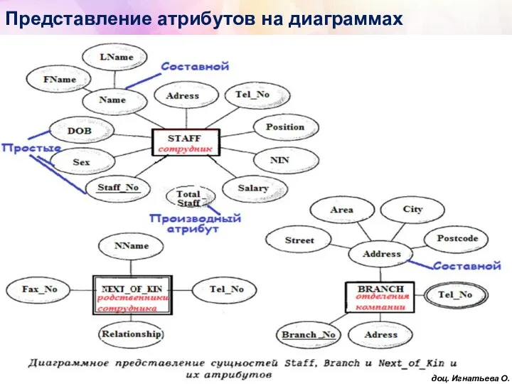 Представление атрибутов на диаграммах доц. Игнатьева О.В.