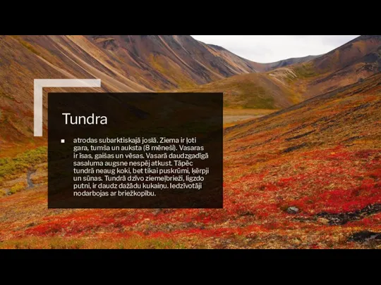 Tundra atrodas subarktiskajā joslā. Ziema ir ļoti gara, tumša un auksta