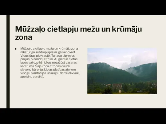 Mūžzaļo cietlapju mežu un krūmāju zona Mūžzaļo cietlapju mežu un krūmāju