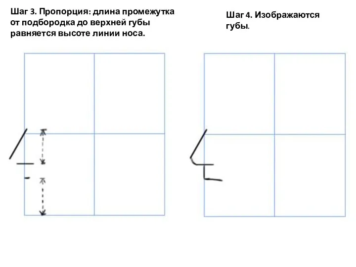 Шаг 3. Пропорция: длина промежутка от подбородка до верхней губы равняется