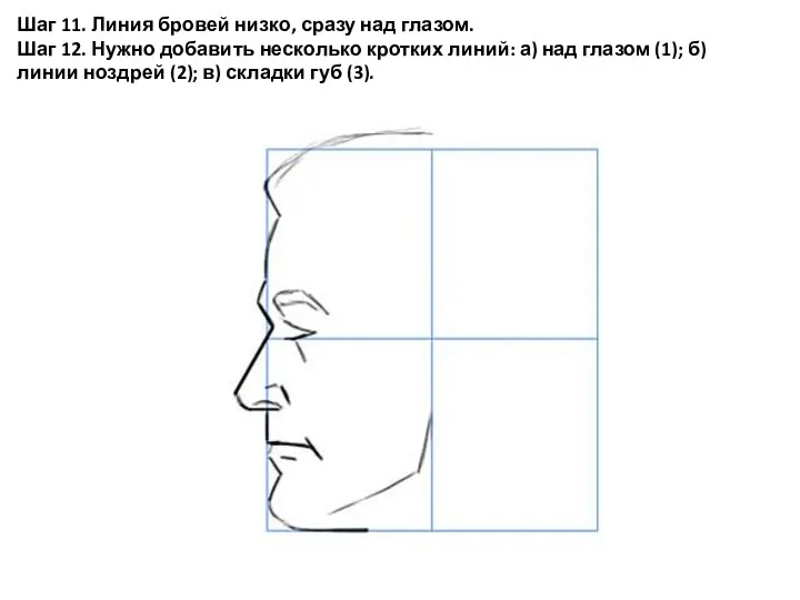 Шаг 11. Линия бровей низко, сразу над глазом. Шаг 12. Нужно