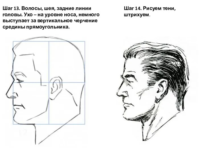 Шаг 13. Волосы, шея, задние линии головы. Ухо – на уровне