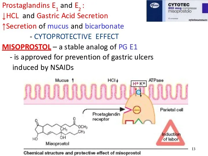 Prostaglandins E1 and E2 : ↓HCL and Gastric Acid Secretion ↑Secretion