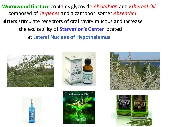Wormwood tincture contains glycoside Absinthian and Ethereal Oil composed of Terpenes