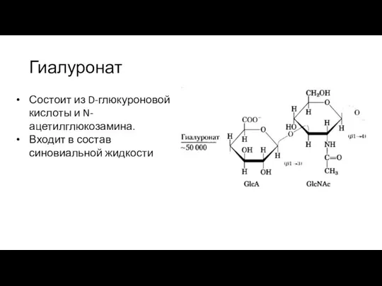 Гиалуронат Состоит из D-глюкуроновой кислоты и N-ацетилглюкозамина. Входит в состав синовиальной жидкости