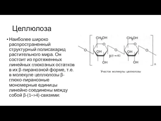 Целлюлоза Наиболее широко распространенный структурный полисахарид растительного мира. Он состоит из