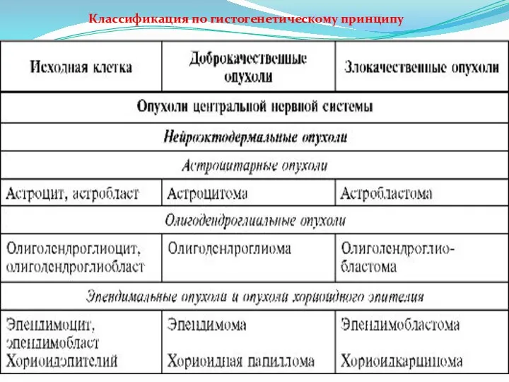 Классификация по гистогенетическому принципу