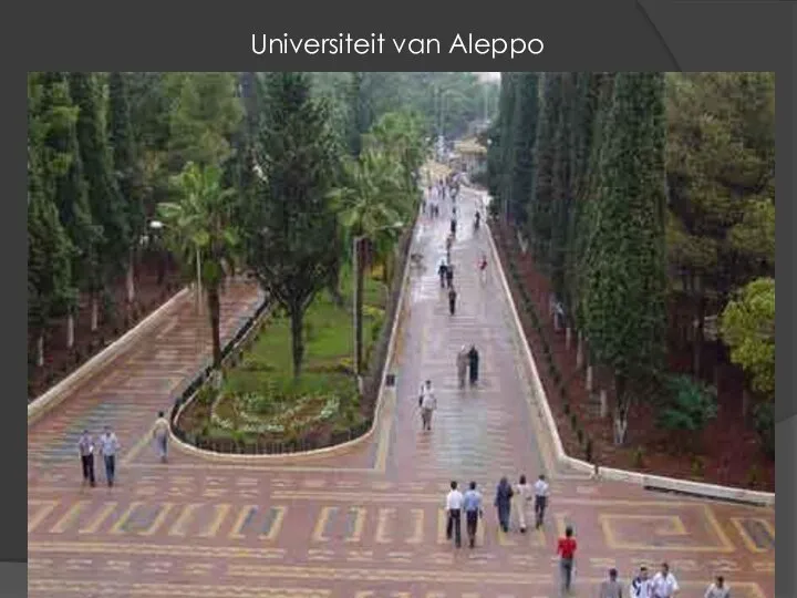 Universiteit van Aleppo