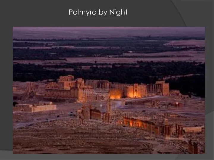 Palmyra by Night