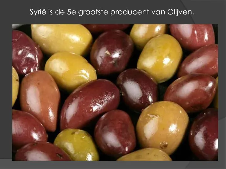 Syrië is de 5e grootste producent van Olijven.