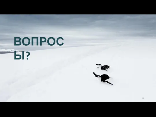 ВОПРОСЫ?