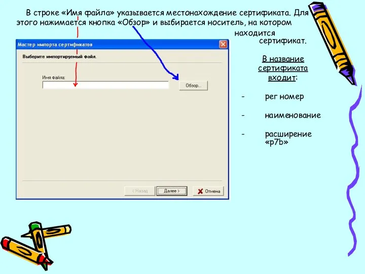 В строке «Имя файла» указывается местонахождение сертификата. Для этого нажимается кнопка