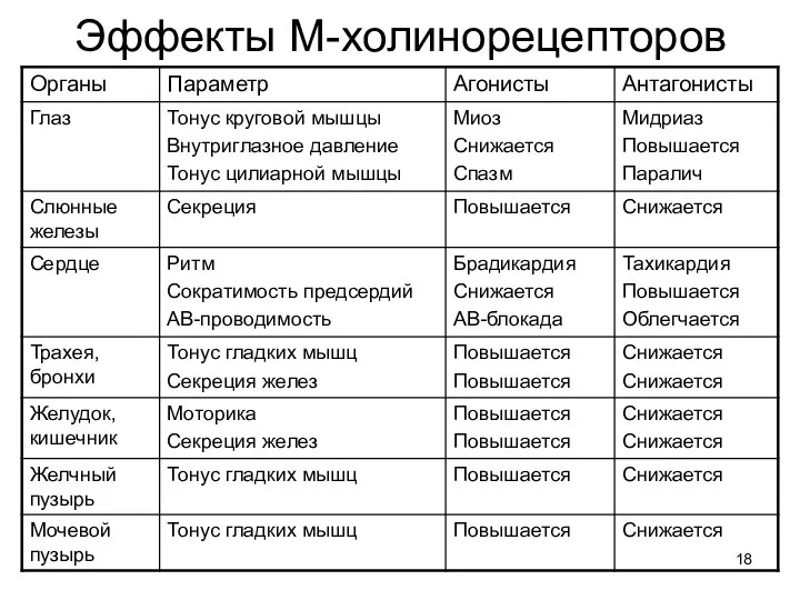 Эффекты М-холинорецепторов