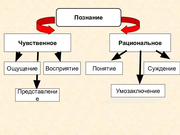 Чувственное Рациональное Ощущение Восприятие Представление Понятие Суждение Умозаключение Познание