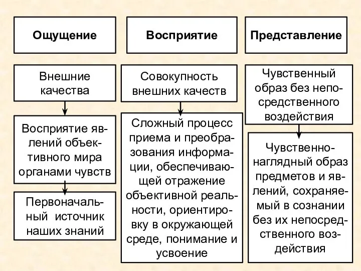 Ощущение Внешние качества Восприятие яв-лений объек-тивного мира органами чувств Первоначаль-ный источник