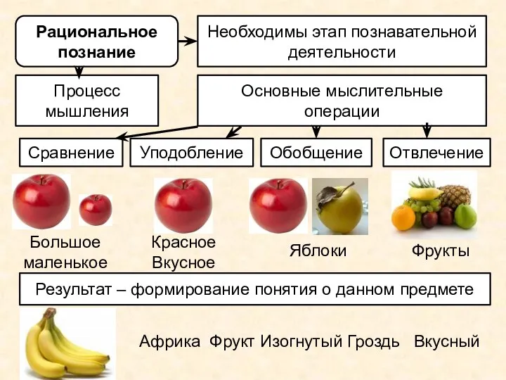 Рациональное познание Необходимы этап познавательной деятельности Процесс мышления Основные мыслительные операции