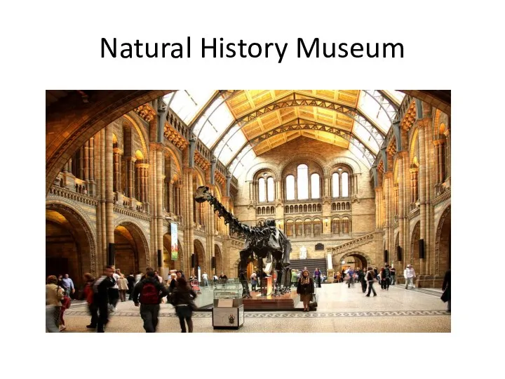 Natural History Museum