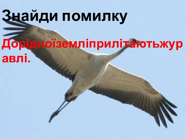 Знайди помилку Дорідноїземліприлітаютьжуравлі.