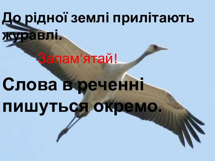 До рідної землі прилітають журавлі. Запам'ятай! Слова в реченні пишуться окремо.