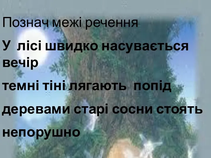 Познач межі речення У лісі швидко насувається вечір темні тіні лягають