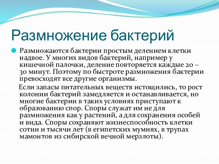 Размножение бактерий Размножаются бактерии простым делением клетки надвое. У многих видов