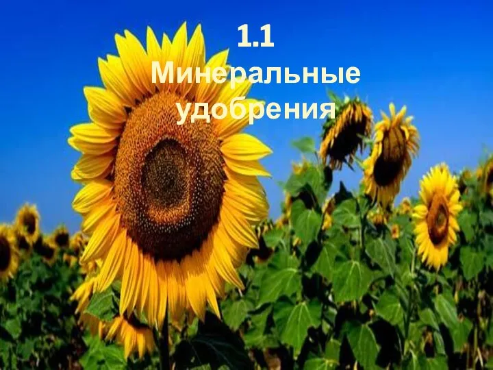 1.1 Минеральные удобрения