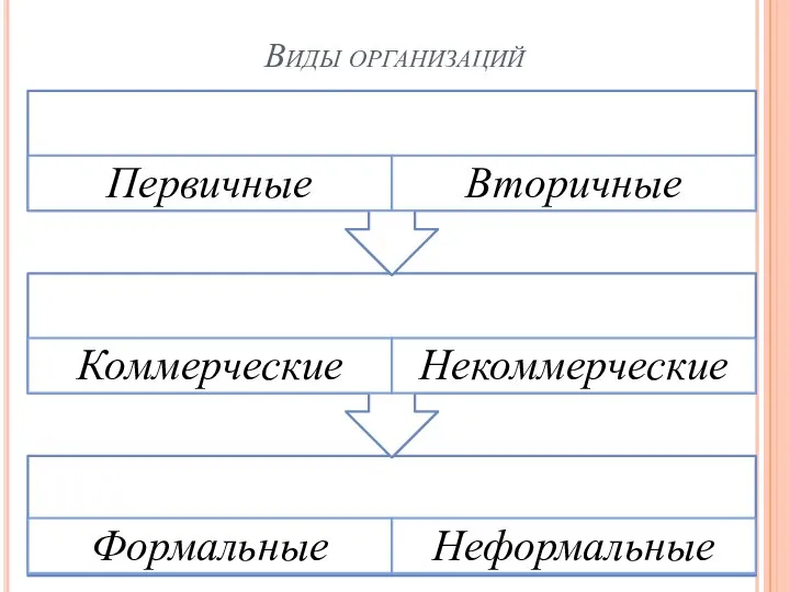 Виды организаций