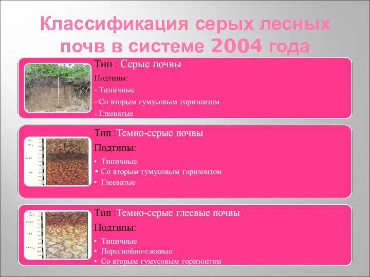 Классификация серых лесных почв в системе 2004 года