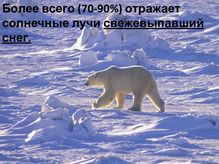 Более всего (70-90%) отражает солнечные лучи свежевыпавший снег.