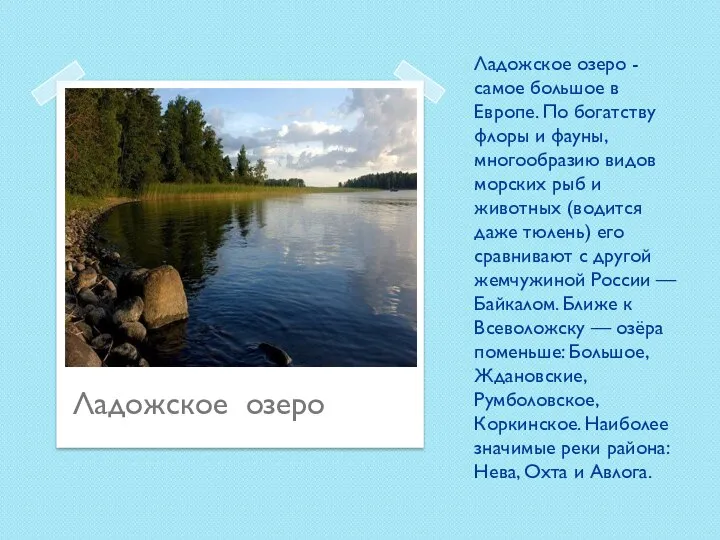 Ладожское озеро - самое большое в Европе. По богатству флоры и