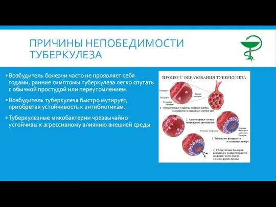 ПРИЧИНЫ НЕПОБЕДИМОСТИ ТУБЕРКУЛЕЗА Возбудитель болезни часто не проявляет себя годами, ранние