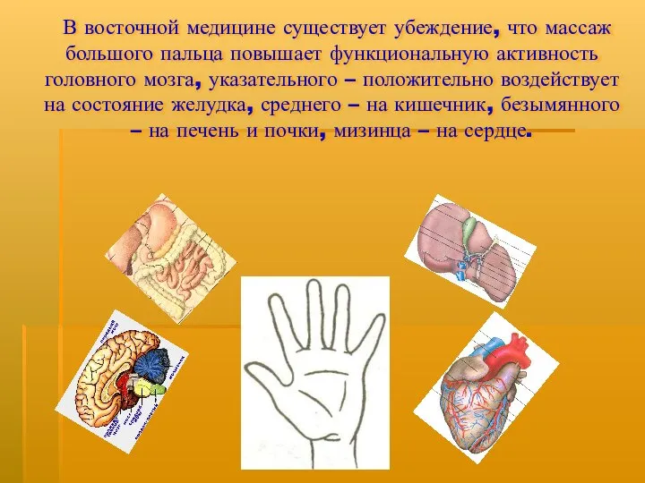 В восточной медицине существует убеждение, что массаж большого пальца повышает функциональную